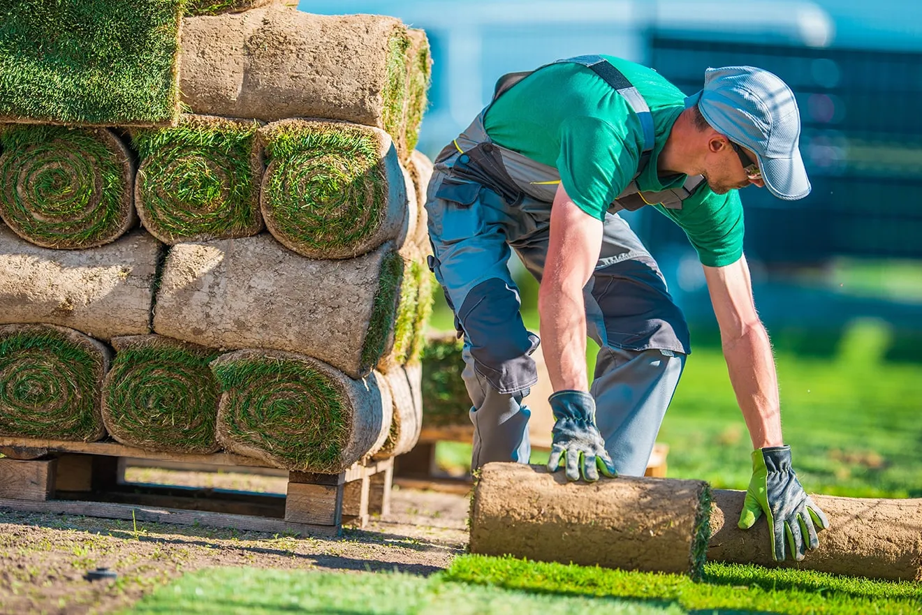 Landscaping Pros